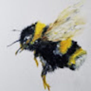 Meet your Posher, Lynn